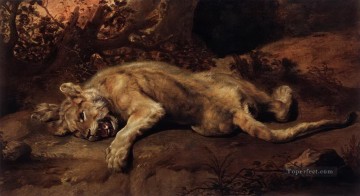 lion 22 Oil Paintings